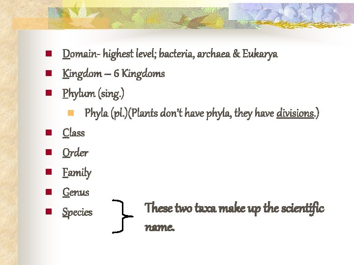 n n n n Domain- highest level; bacteria, archaea & Eukarya Kingdom – 6