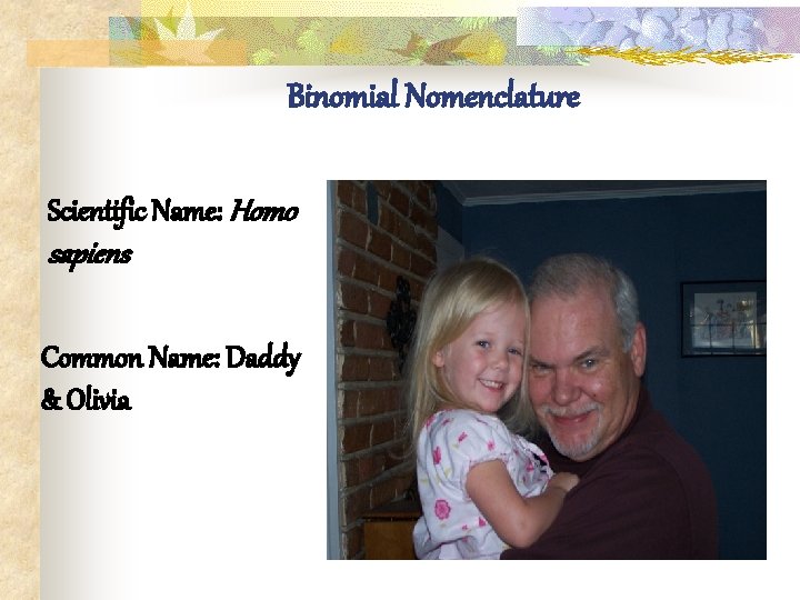 Binomial Nomenclature Scientific Name: Homo sapiens Common Name: Daddy & Olivia 