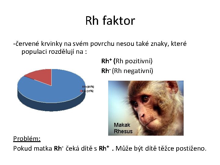 Rh faktor -červené krvinky na svém povrchu nesou také znaky, které populaci rozdělují na