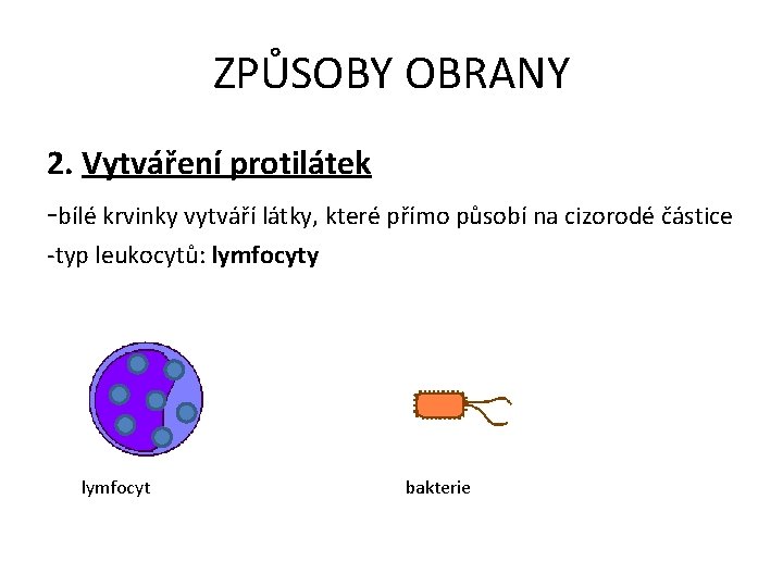 ZPŮSOBY OBRANY 2. Vytváření protilátek -bílé krvinky vytváří látky, které přímo působí na cizorodé