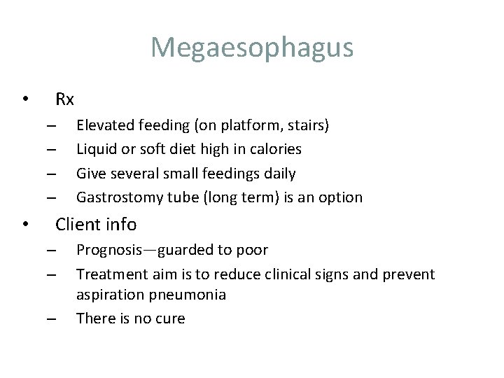 Megaesophagus • Rx – – • Elevated feeding (on platform, stairs) Liquid or soft