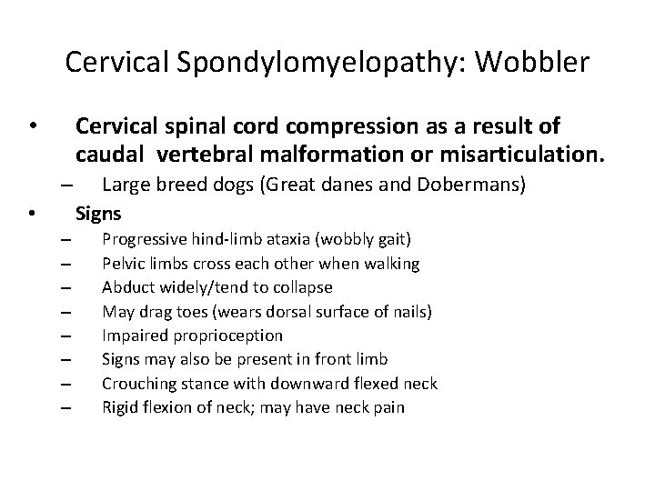 Cervical Spondylomyelopathy: Wobbler Cervical spinal cord compression as a result of caudal vertebral malformation