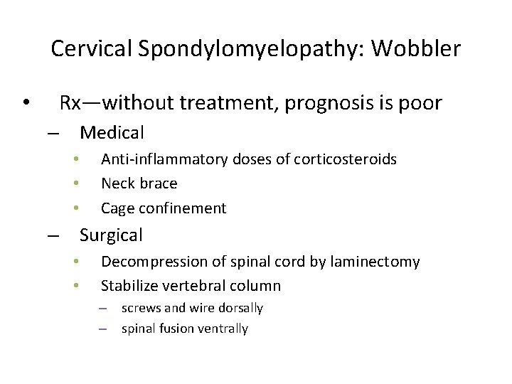 Cervical Spondylomyelopathy: Wobbler Rx—without treatment, prognosis is poor • Medical – • • •