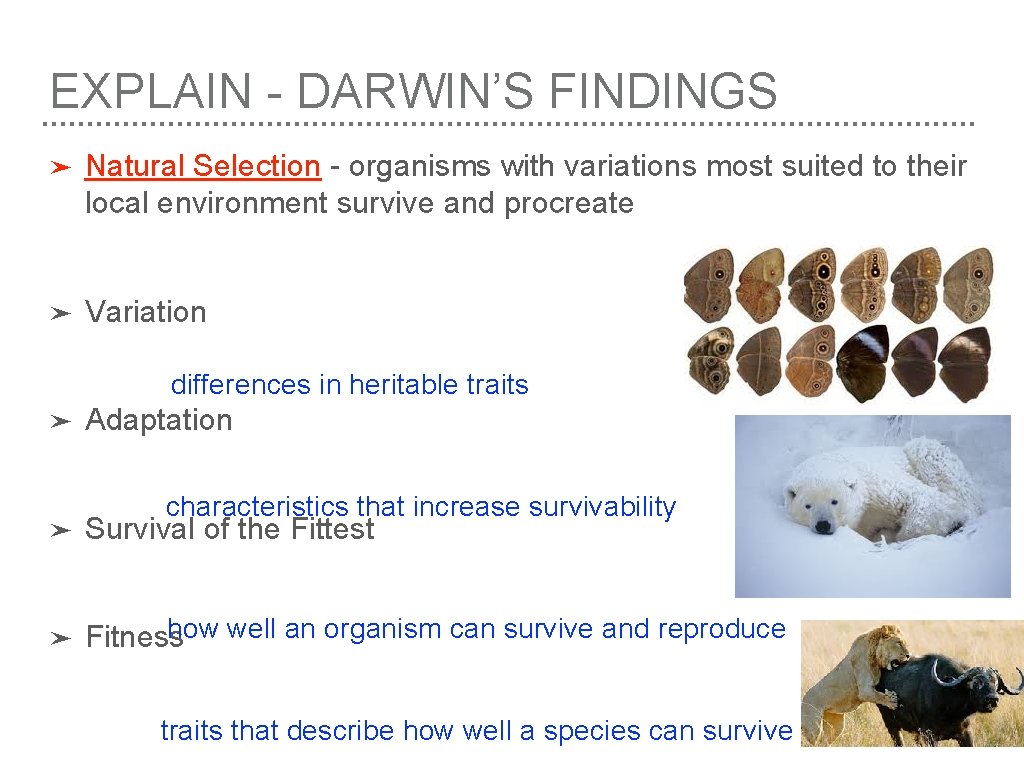 EXPLAIN - DARWIN’S FINDINGS ➤ Natural Selection - organisms with variations most suited to