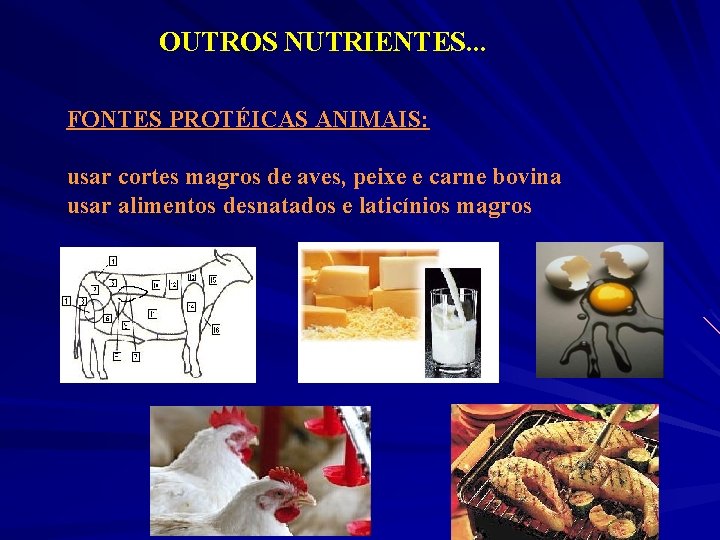 OUTROS NUTRIENTES. . . FONTES PROTÉICAS ANIMAIS: usar cortes magros de aves, peixe e
