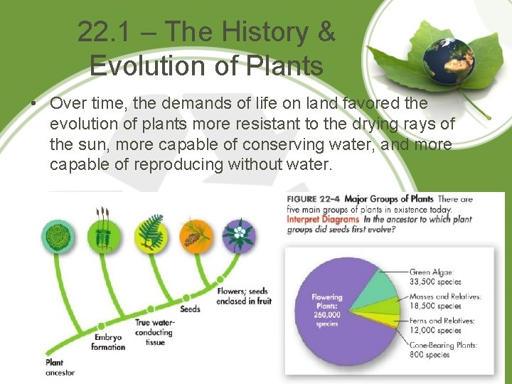 22. 1 – The History & Evolution of Plants • Over time, the demands