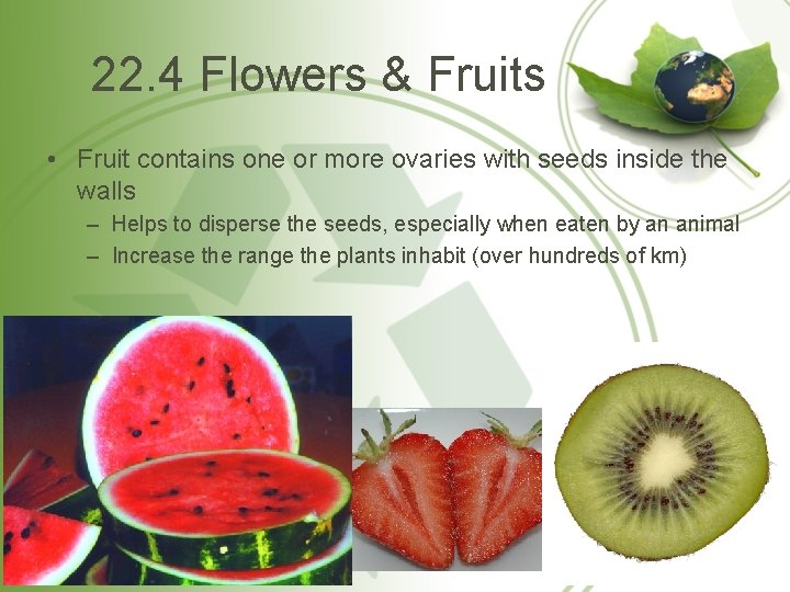 22. 4 Flowers & Fruits • Fruit contains one or more ovaries with seeds