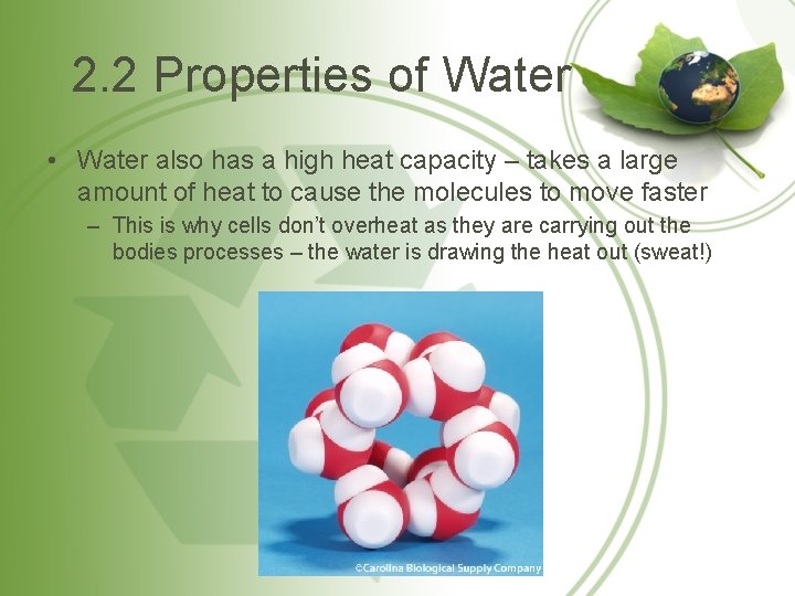 2. 2 Properties of Water • Water also has a high heat capacity –