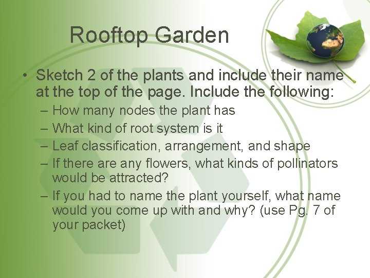 Rooftop Garden • Sketch 2 of the plants and include their name at the