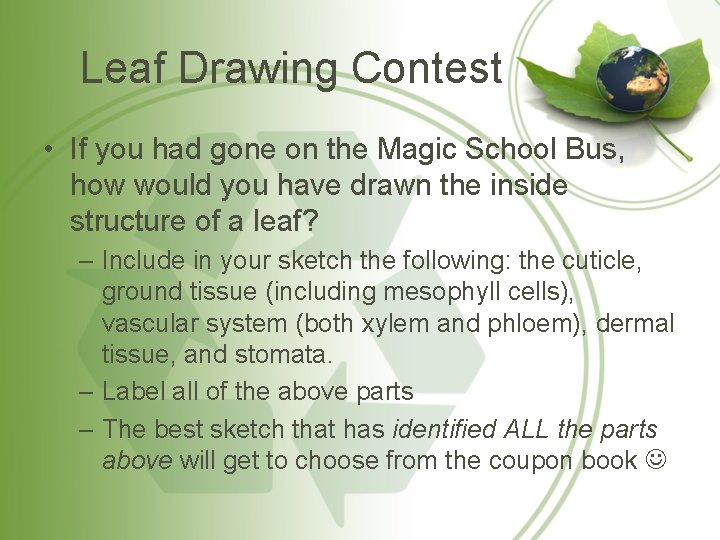 Leaf Drawing Contest • If you had gone on the Magic School Bus, how