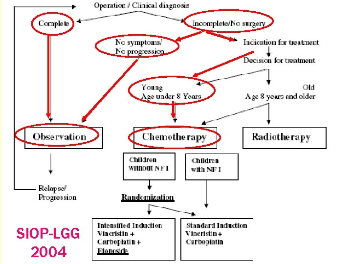 SIOP-LGG 2004 