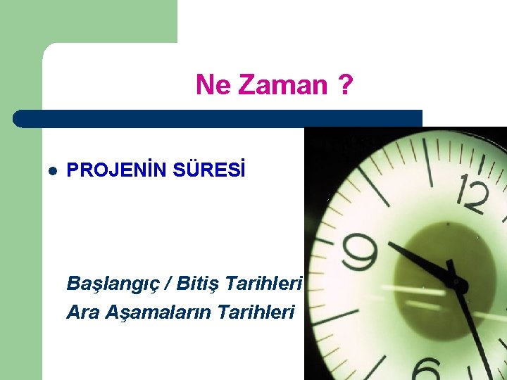 Ne Zaman ? l PROJENİN SÜRESİ Başlangıç / Bitiş Tarihleri Ara Aşamaların Tarihleri 