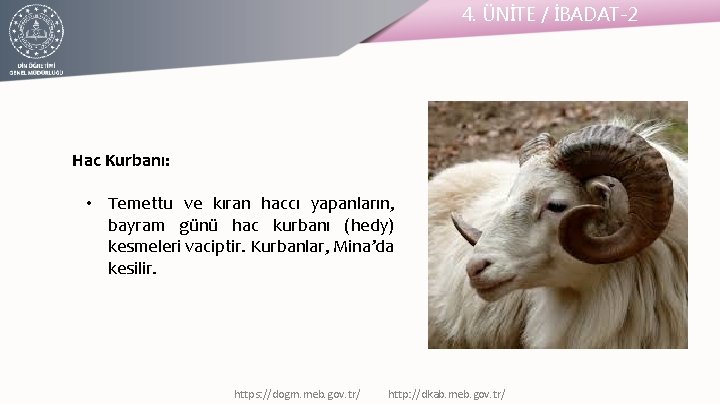 4. ÜNİTE / İBADAT-2 Hac Kurbanı: • Temettu ve kıran haccı yapanların, bayram günü