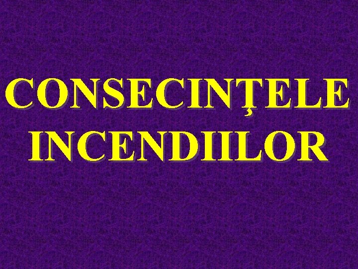 CONSECINŢELE INCENDIILOR 