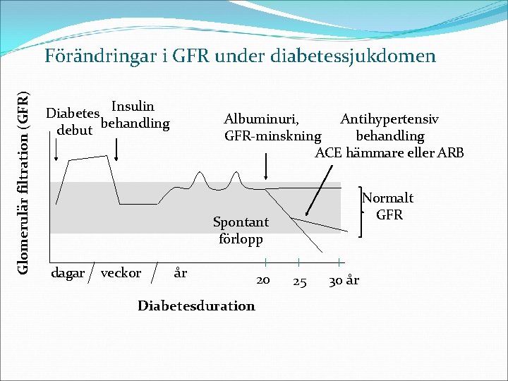 Glomerulär filtration (GFR) Förändringar i GFR under diabetessjukdomen Insulin Diabetes behandling debut Antihypertensiv Albuminuri,