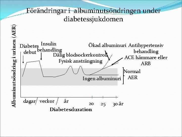 Albuminutsöndring i urinen (AER) Förändringar i albuminutsöndringen under diabetessjukdomen Ökad albuminuri Antihypertensiv Diabetes Insulin