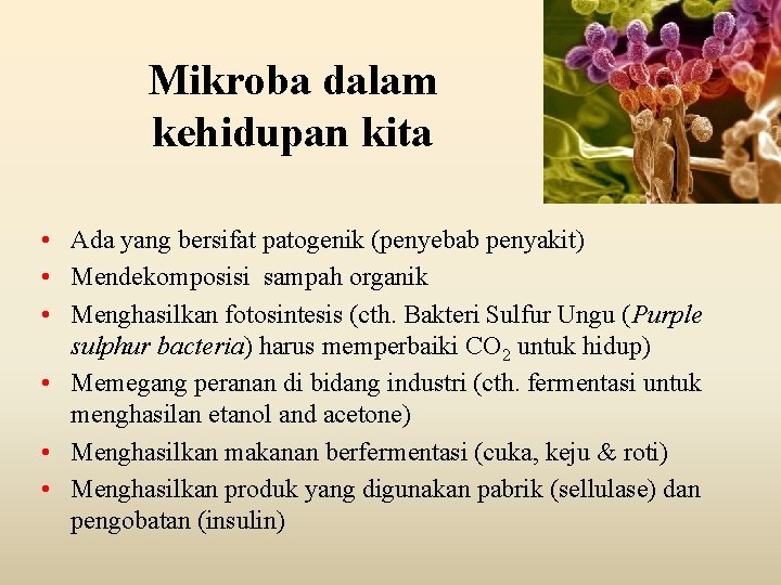Mikroba dalam kehidupan kita • Ada yang bersifat patogenik (penyebab penyakit) • Mendekomposisi sampah