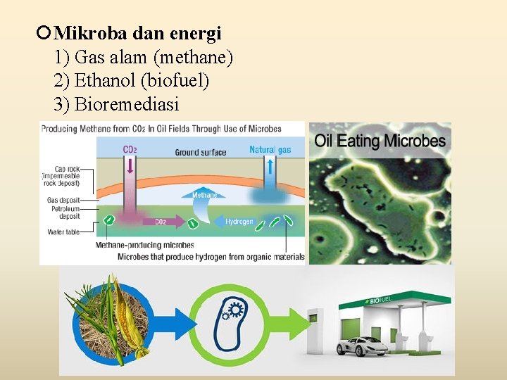  Mikroba dan energi 1) Gas alam (methane) 2) Ethanol (biofuel) 3) Bioremediasi 
