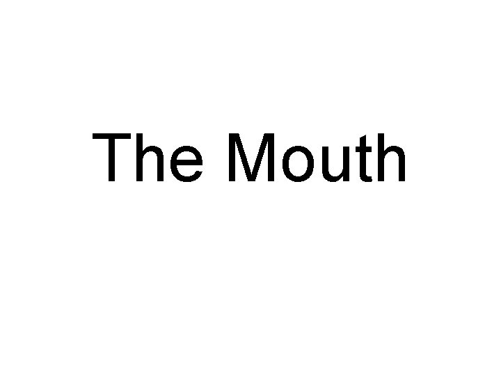 The Mouth 