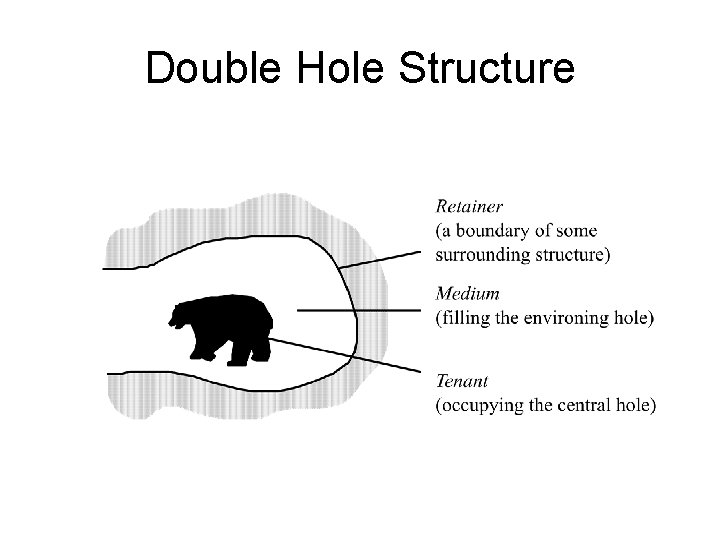 Double Hole Structure 