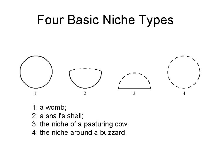 Four Basic Niche Types 1: a womb; 2: a snail’s shell; 3: the niche