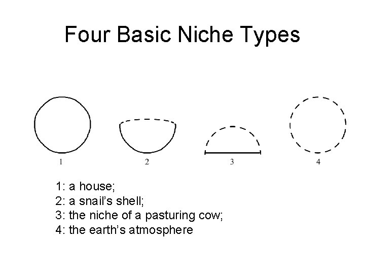 Four Basic Niche Types 1: a house; 2: a snail’s shell; 3: the niche