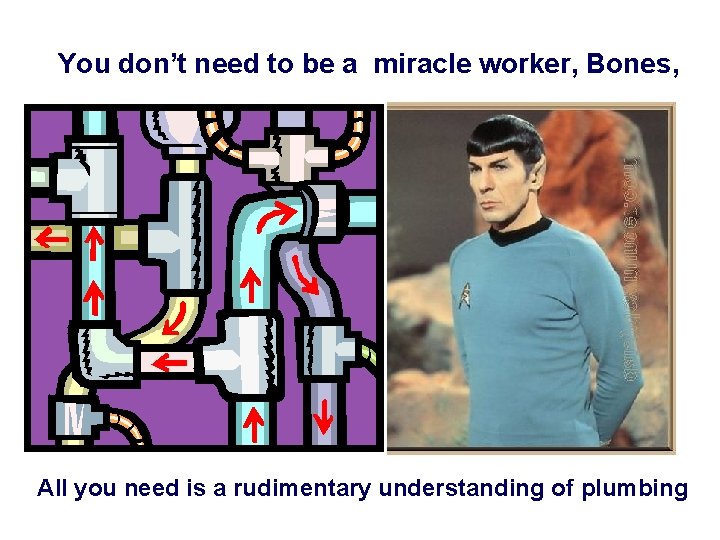 You don’t need to be a miracle worker, Bones, All you need is a