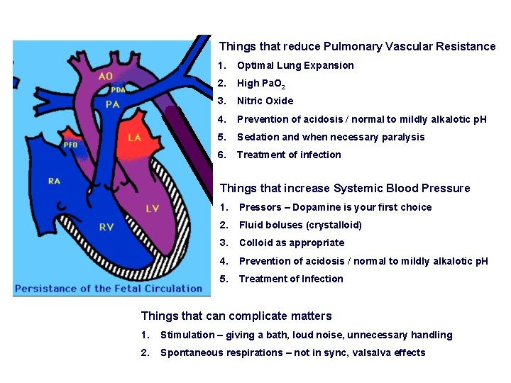 Things that reduce Pulmonary Vascular Resistance 1. Optimal Lung Expansion 2. High Pa. O