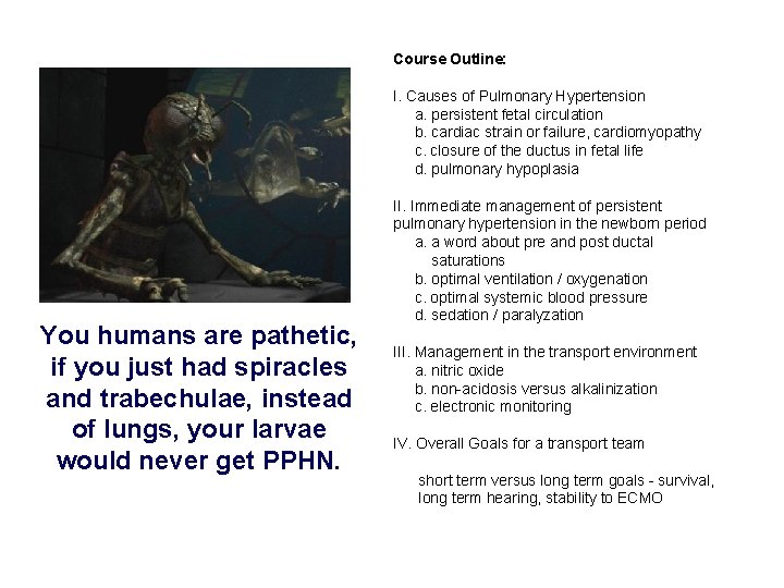 Course Outline: I. Causes of Pulmonary Hypertension a. persistent fetal circulation b. cardiac strain