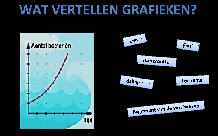 WAT VERTELLEN GRAFIEKEN? x-as y-as stapgrootte daling toename le as vertica e d n