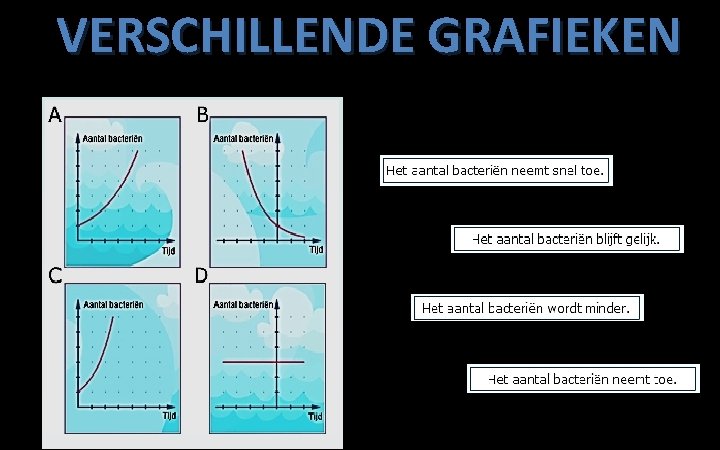 VERSCHILLENDE GRAFIEKEN 