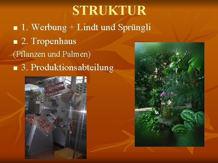 STRUKTUR n n 1. Werbung + Lindt und Sprüngli 2. Tropenhaus (Pflanzen und Palmen)