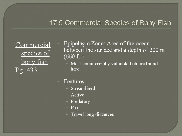 17. 5 Commercial Species of Bony Fish Commercial species of bony fish Pg. 433