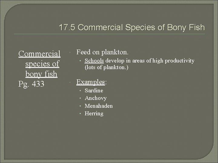 17. 5 Commercial Species of Bony Fish Commercial species of bony fish Pg. 433