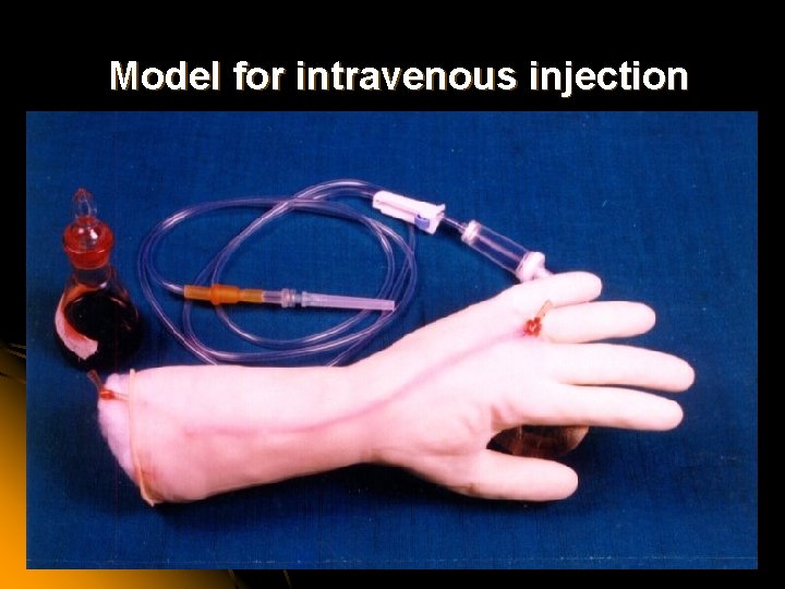Model for intravenous injection 