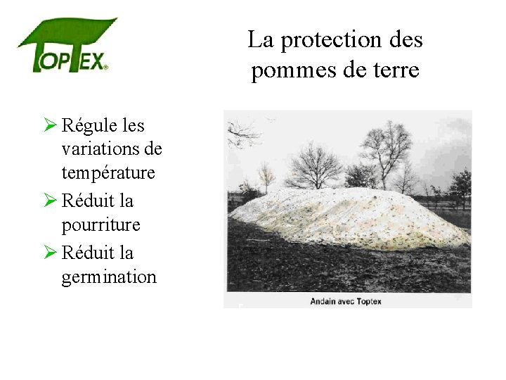 La protection des pommes de terre Ø Régule les variations de température Ø Réduit