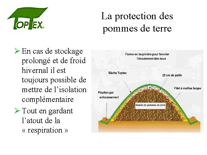 La protection des pommes de terre Ø En cas de stockage prolongé et de