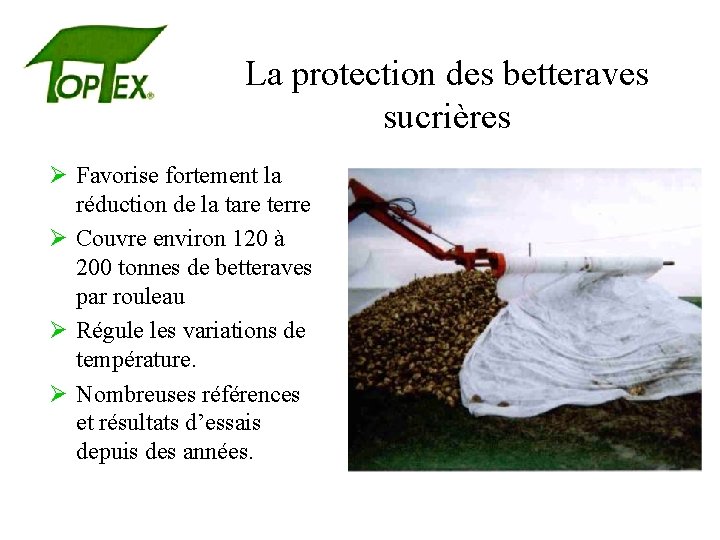 La protection des betteraves sucrières Ø Favorise fortement la réduction de la tare terre