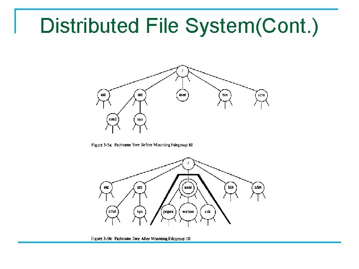 Distributed File System(Cont. ) 