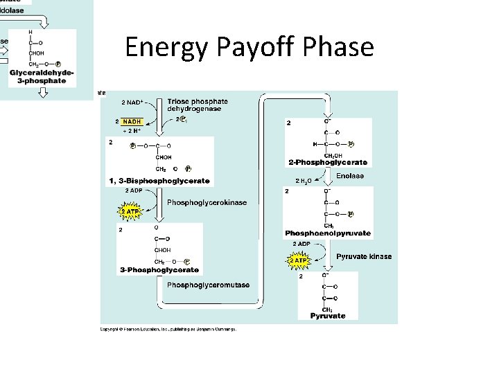 Energy Payoff Phase 