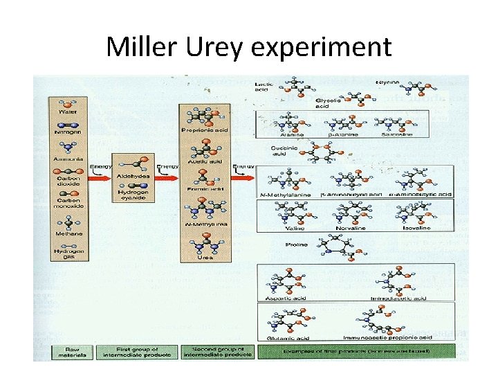 Miller Urey experiment 
