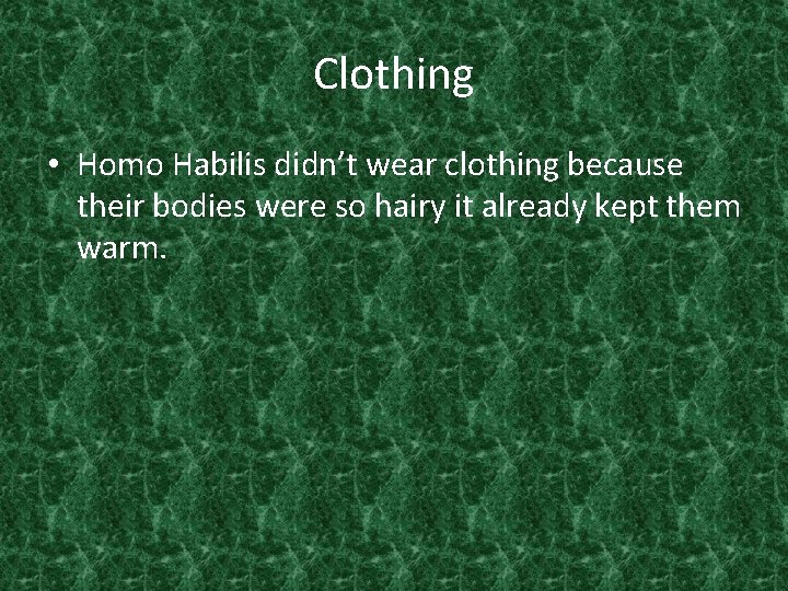 Clothing • Homo Habilis didn’t wear clothing because their bodies were so hairy it