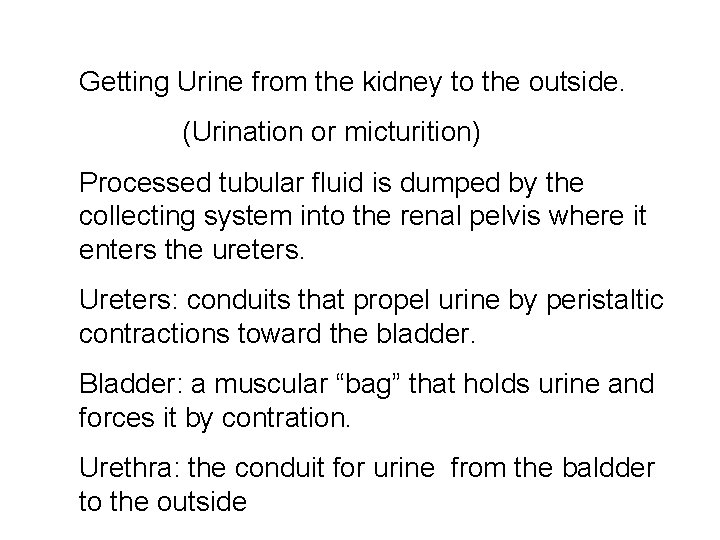 Getting Urine from the kidney to the outside. (Urination or micturition) Processed tubular fluid