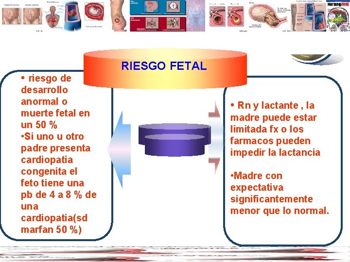 Diagram www. thmemgallery. com • riesgo de desarrollo anormal o muerte fetal en un