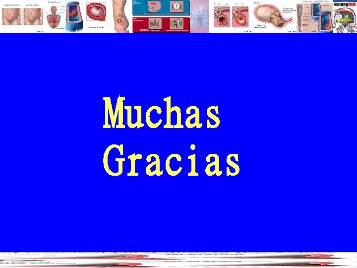Muchas Gracias 