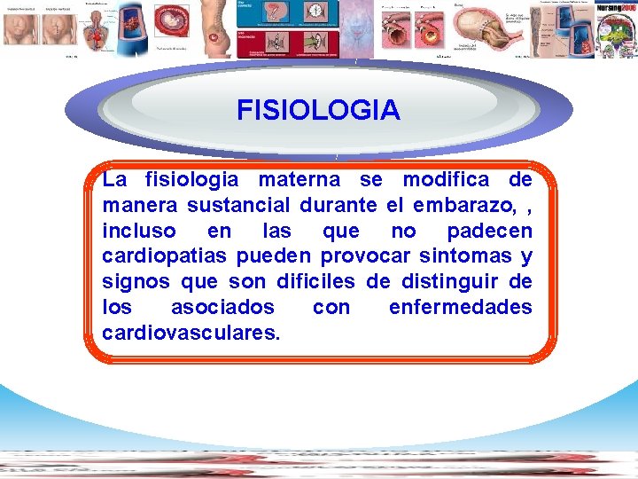Diagram FISIOLOGIA La fisiologia materna se modifica de manera sustancial durante el embarazo, ,