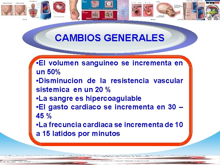 Diagram CAMBIOS GENERALES • El volumen sanguineo se incrementa en un 50% • Disminucion