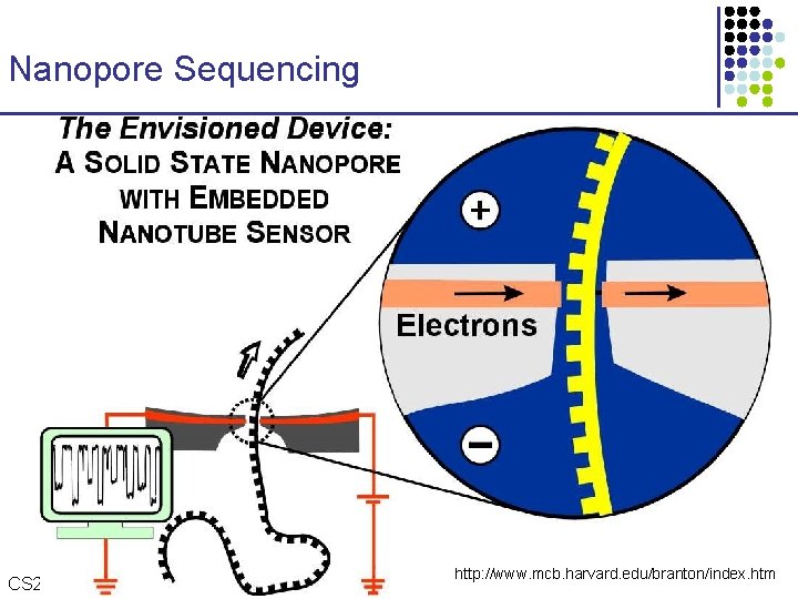 Nanopore Sequencing CS 273 a Lecture 9, Fall 2008 CS 273 a Lecture 9,