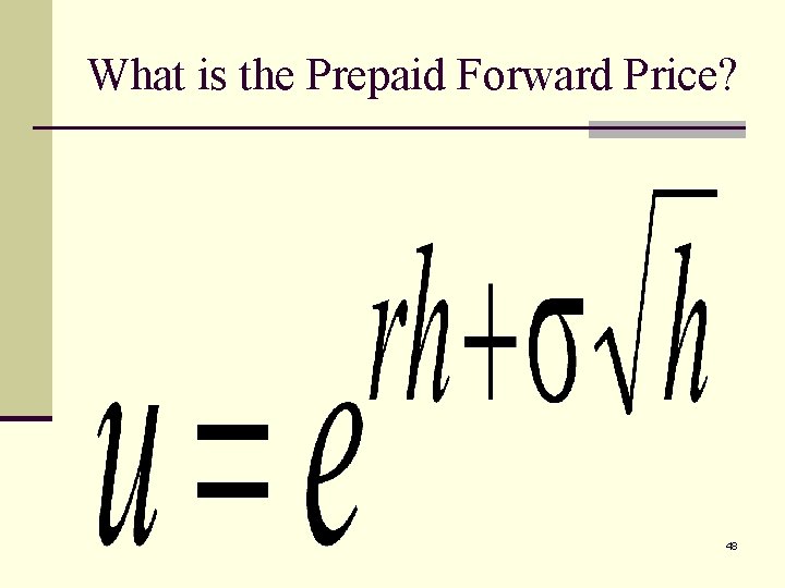 What is the Prepaid Forward Price? 48 
