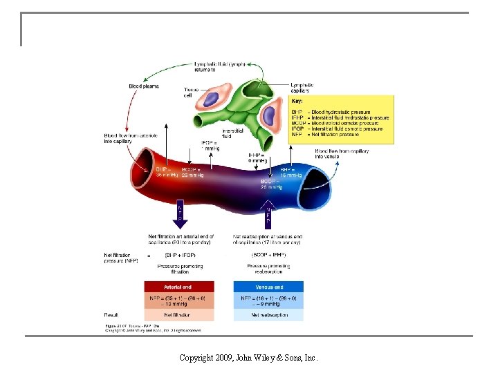 Copyright 2009, John Wiley & Sons, Inc. 